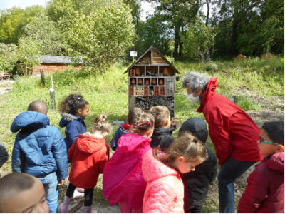 animations pour les scolaires